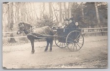 RPPC Edwardian Family in Horse