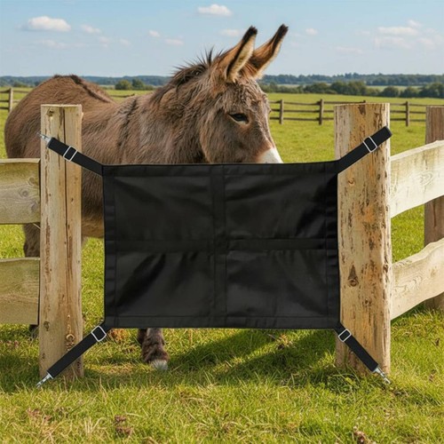 Horse stall guard - no, stable