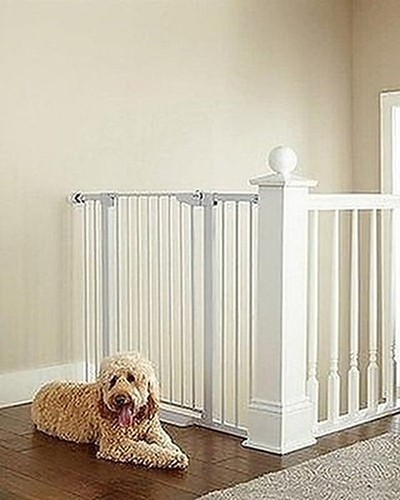 Cumbor 36in extra tall - tall, baby