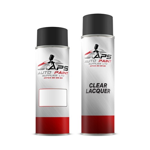 Spray paint lacquer mix - spray, to