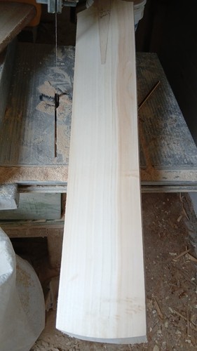 Part made cricket - part, special