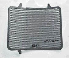 Triumph Street Triple 675 R