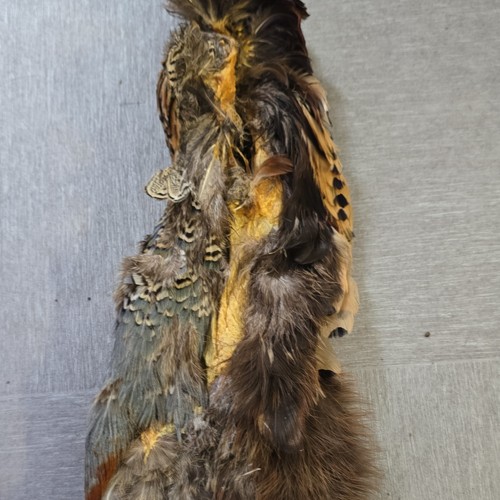 Pheasant back skin pelt only - skin,,