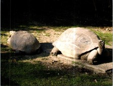 (1832) 28-11-2025 - World