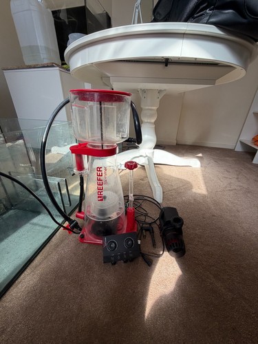 Red sea reefer 300 - sea,