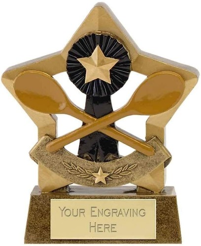 Mini star wooden spoon trophy - star,