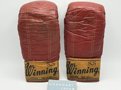 Winning boxing bag punching - winning,