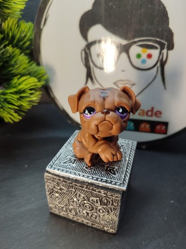 Lps1320 littlest petshop - my,