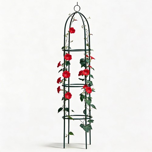 New garden obelisk - new, climbing