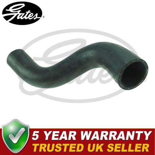 Gates lower radiator coolant - lower,