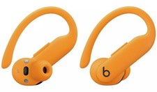 Beats Powerbeats Pro 2 True