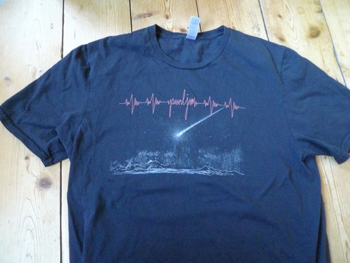 Pearl jam official 2022 tour - pearl,