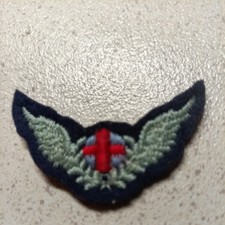 Red Cross Air Force Wings