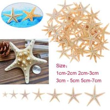 Pcs flat dried - flat,