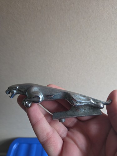 Vintage chrome jaguar - jaguar, car