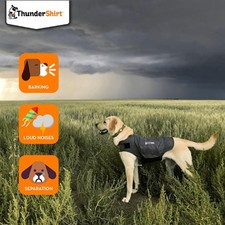 Thunder Shirt for Dogs Dog