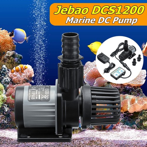 Aquarium fish tank water - fish,