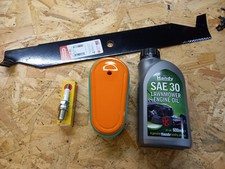 Hayter Harrier 48 496J Service