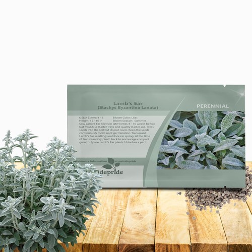 Lamb ear seeds 1000 - seeds,