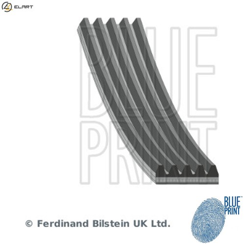 Vribbed belt ad05r1237 for - belt,