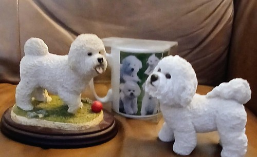 Bichon frise figurines and - bichon, cup