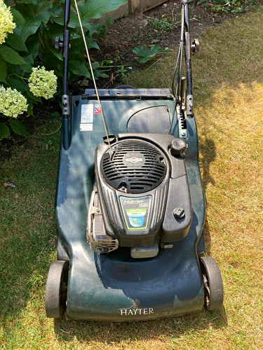 Hayter harrier petrol - hayter,