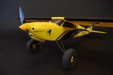 Rc Bush Trainer Plane