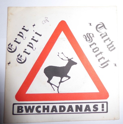 Bwchadanas eryr eryri 83 uk - eryr, eryri.