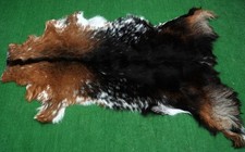 New Goat hide Rug Hair on Area Rug Size 36"x22" Animal Leather Goat Skin 152
