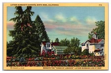 Santa Rosa California Luther