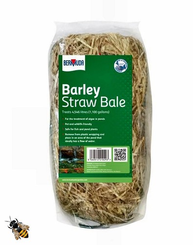 Pond barley straw bale - pond,