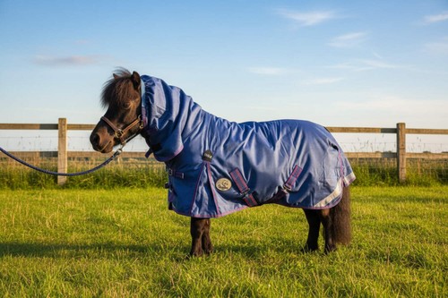 Ruggles 100g combo turnout rug - combo,