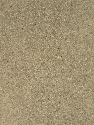 Baby quail starter - baby,