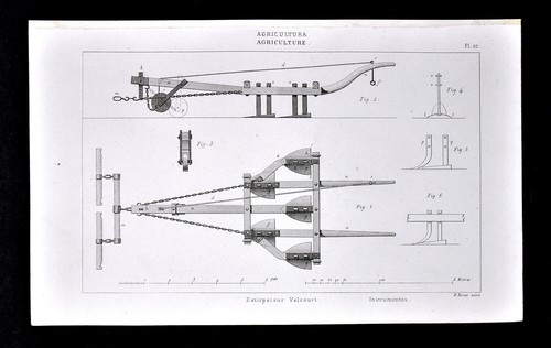 1859 antique print agriculture - antique,
