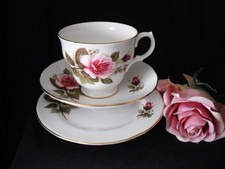 Vintage Pretty Gainsborough Bone China Trio Tea Cup Saucer Plate Pink Roses
