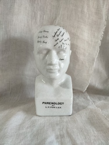 Vintage style phrenology - vintage,