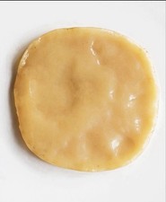 Organic Kombucha starter Scoby