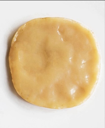 Organic kombucha starter - organic,