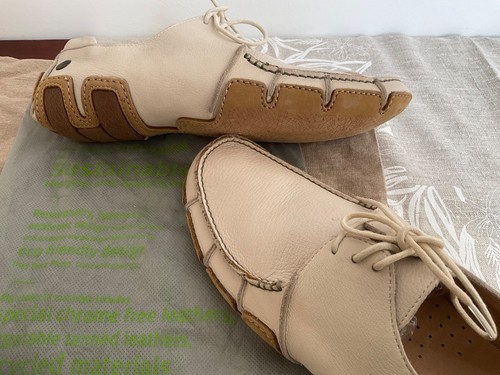 Terra plana mens new - terra,