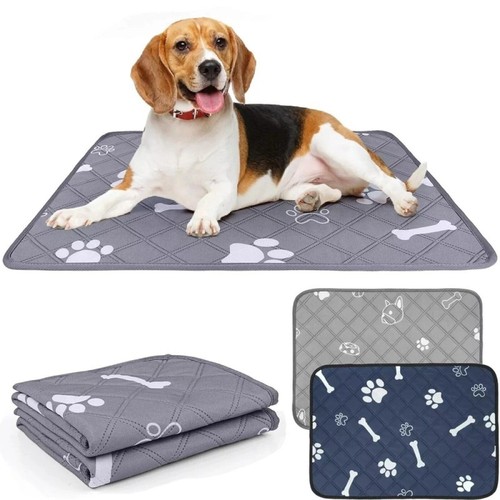 Large washable pet - large, pads
