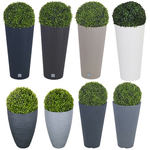 Elegant tall large plant - large, pot