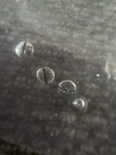 Ebel screw for - watch, case