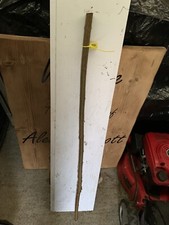 Seasoned Sycamore SHANK