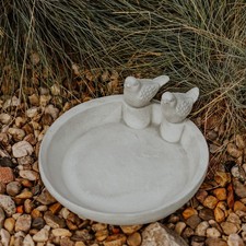 Drinking Bowl Bird Bird Bath