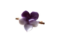 Vintage Floral Porcelain Pansy