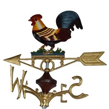 Cockerel Chicken Hen Weather