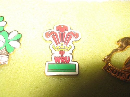 Welsh rugby football union - rugby,