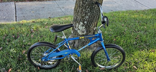 1980 schwinn mini scrambler - 1980,