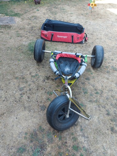 Peter lynn kite buggy includes - peter,