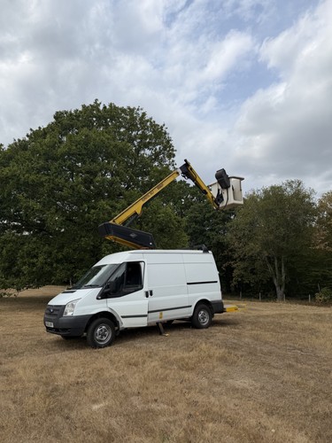 2013 ford transit versalift - transit,